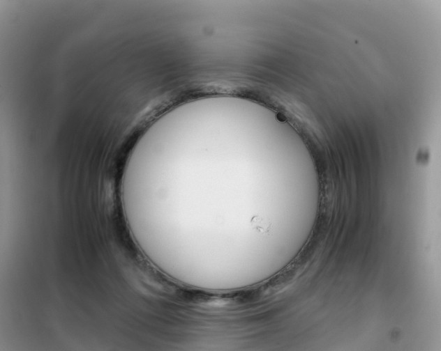 X0000102370312200808011030