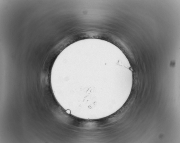 X0000102370313200808011030