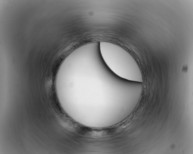 X0000102370314200808011030