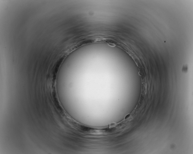 X0000102370316200808011030