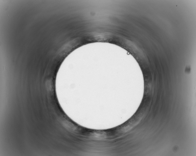 X0000102370317200808011030