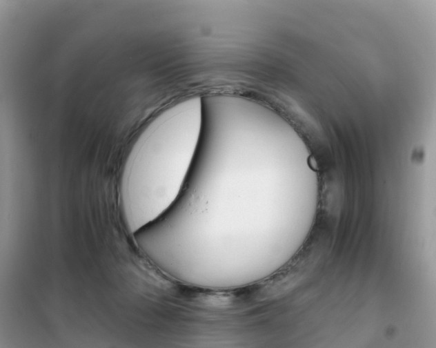 X0000102370318200808011030