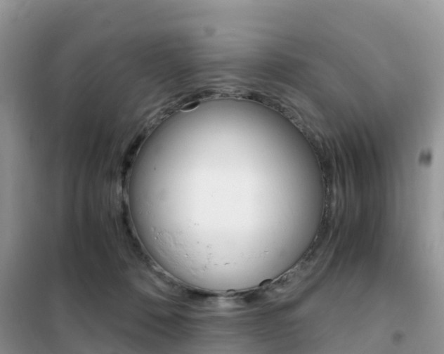 X0000102370320200808011030