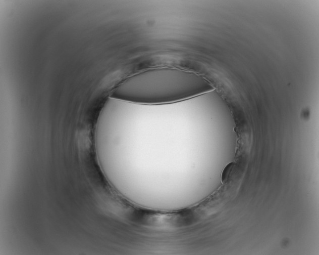X0000102370323200808011030