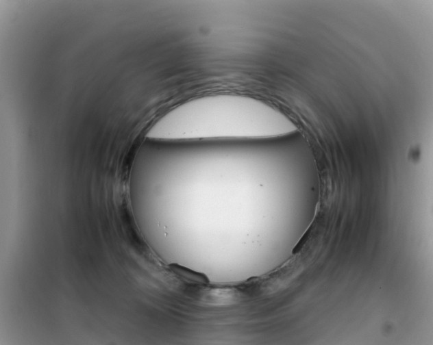 X0000102370324200808011030
