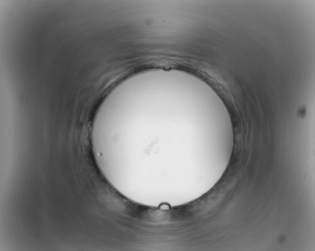 X0000102370325200808011030