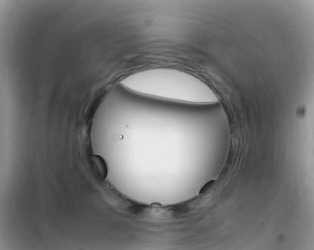 X0000102370327200808011030