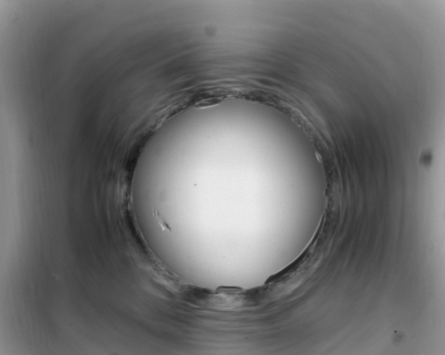 X0000102370328200808011030
