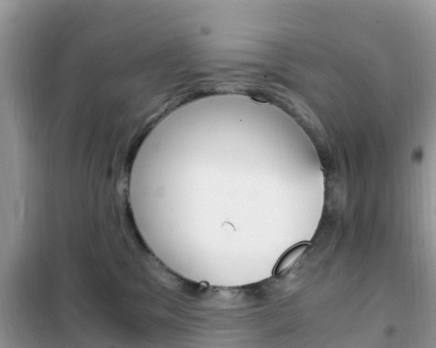 X0000102370329200808011030