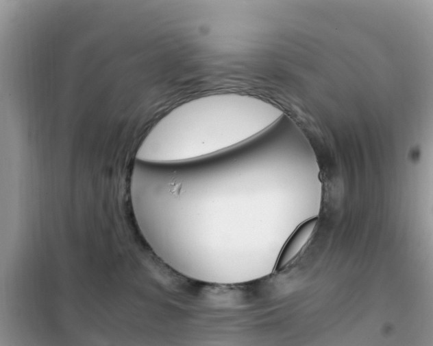 X0000102370331200808011030