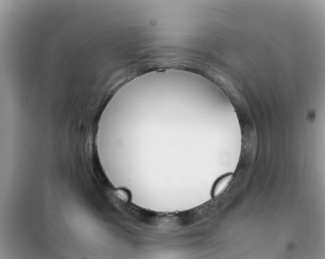 X0000102370333200808011030