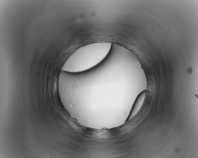 X0000102370334200808011030