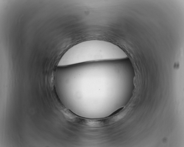 X0000102370336200808011030