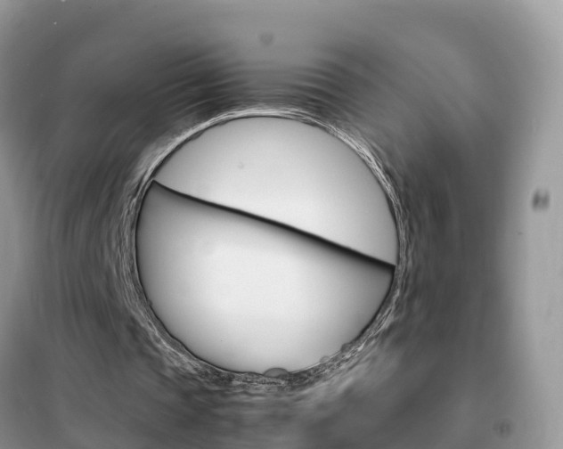 X0000102370337200808011029