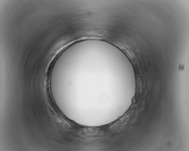 X0000102370338200808011029