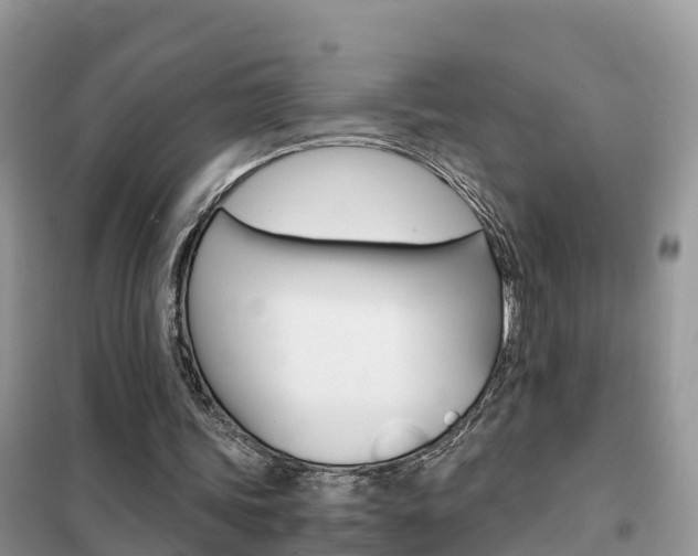 X0000102370339200808011029