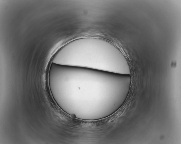 X0000102370340200808011029