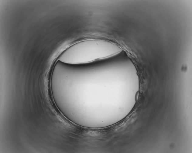 X0000102370341200808011029