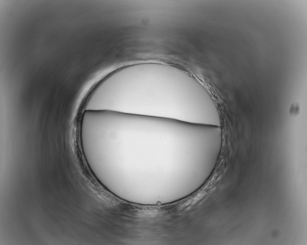 X0000102370342200808011029
