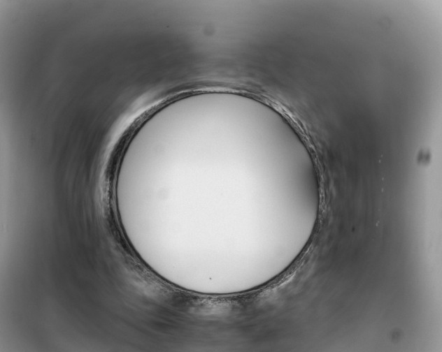 X0000102370343200808011029