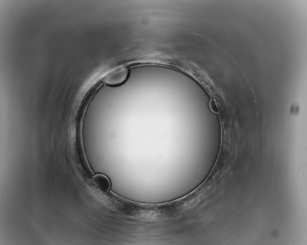 X0000102370344200808011029