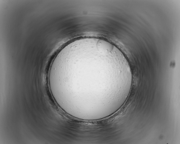 X0000102370347200808011029