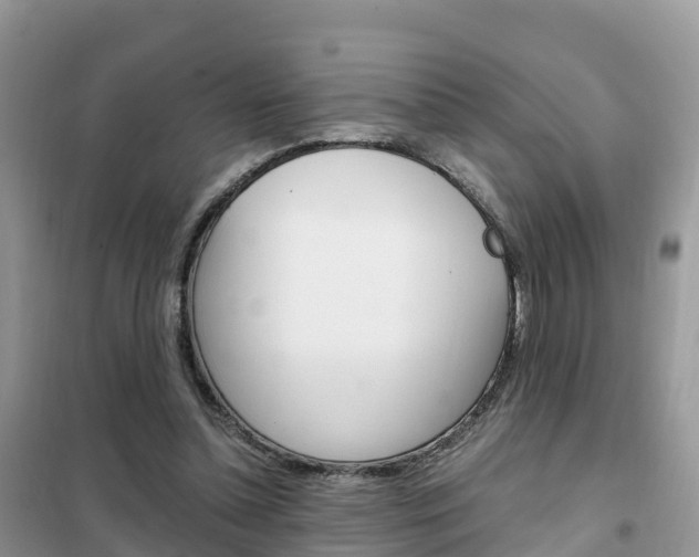 X0000102370348200808011029