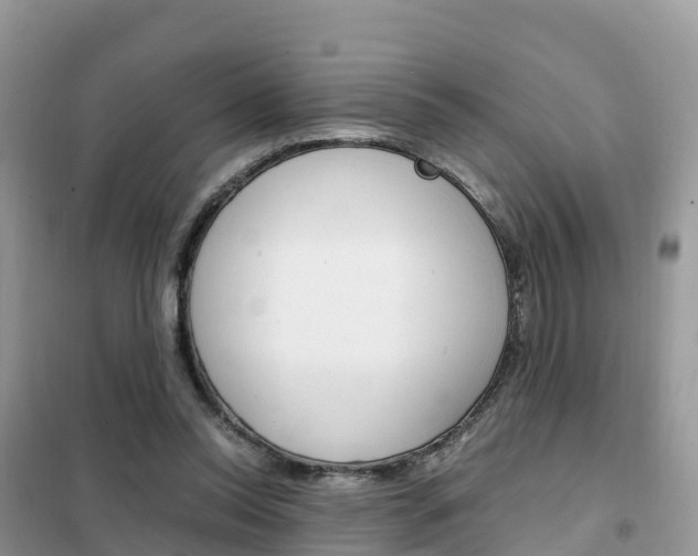 X0000102370350200808011029