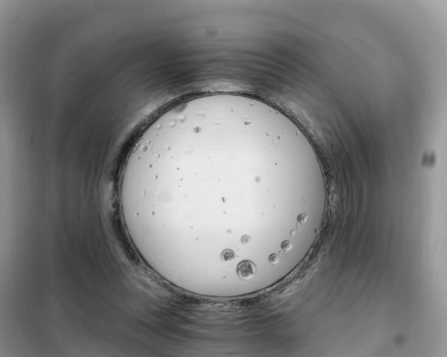 X0000102370351200808011029