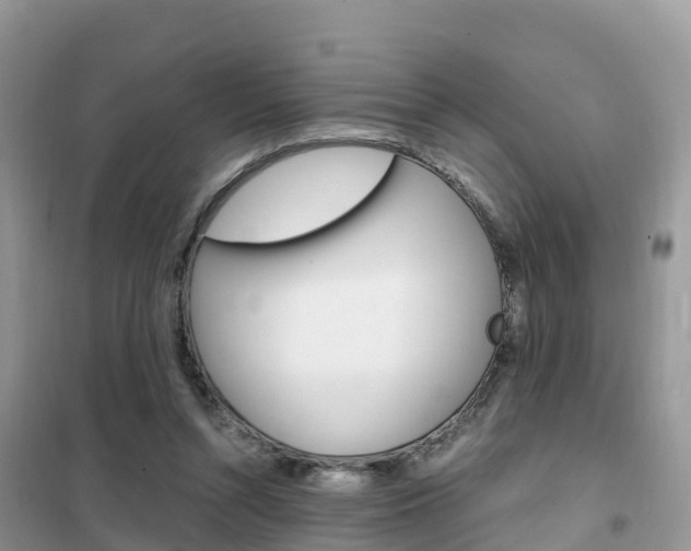 X0000102370352200808011029