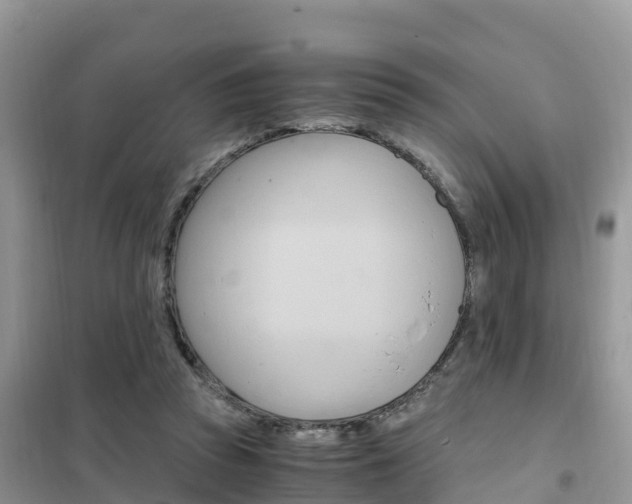 X0000102370353200808011029