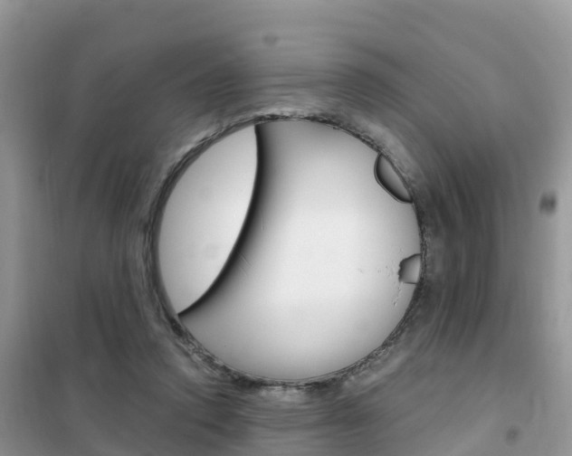 X0000102370354200808011029