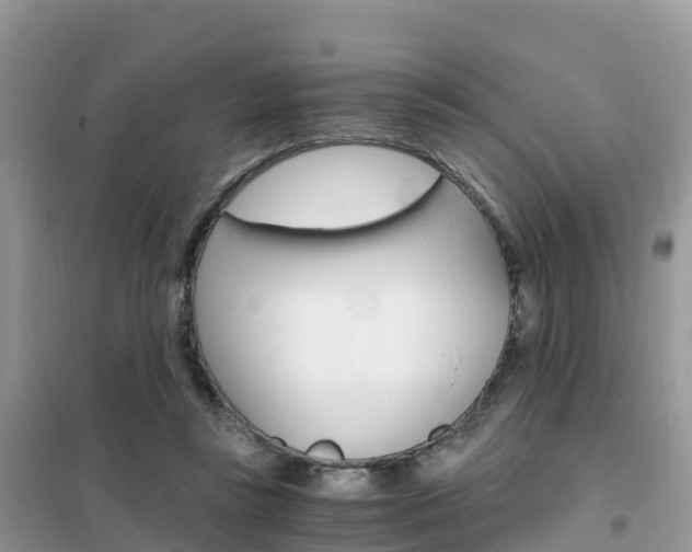 X0000102370355200808011029