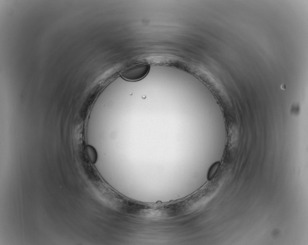 X0000102370356200808011029
