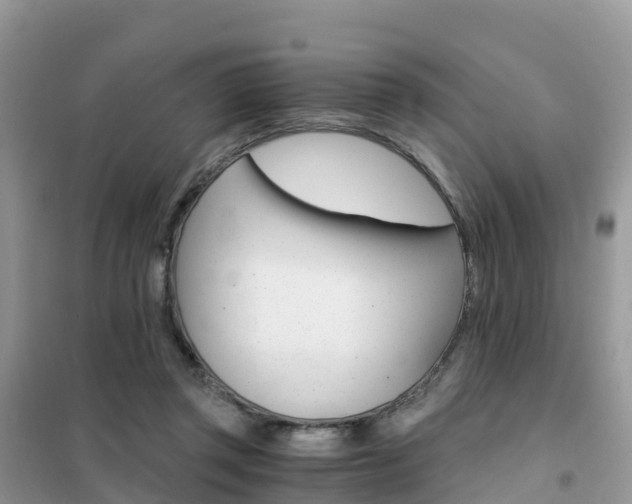 X0000102370357200808011029