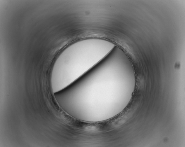 X0000102370358200808011029