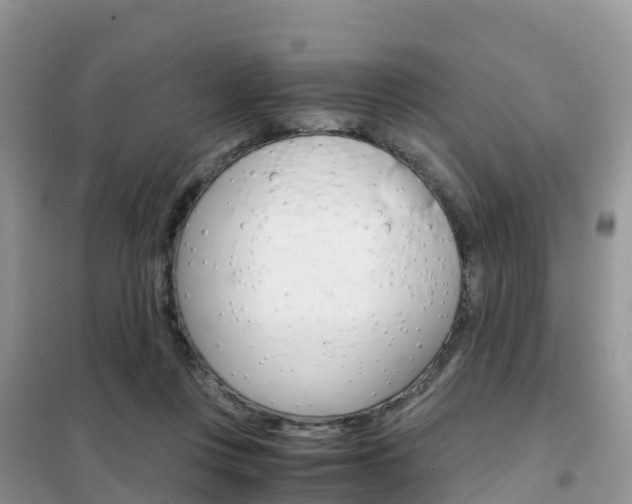X0000102370359200808011029