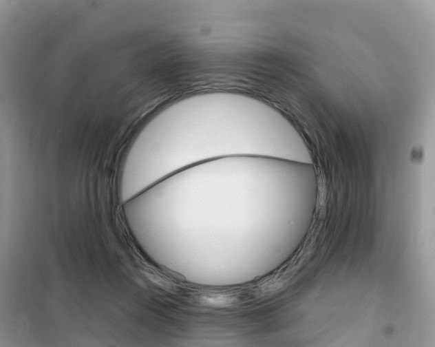 X0000102370360200808011029