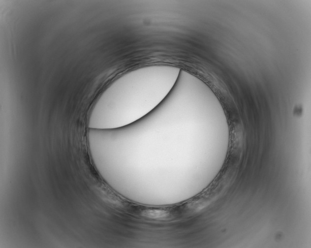 X0000102370361200808011029