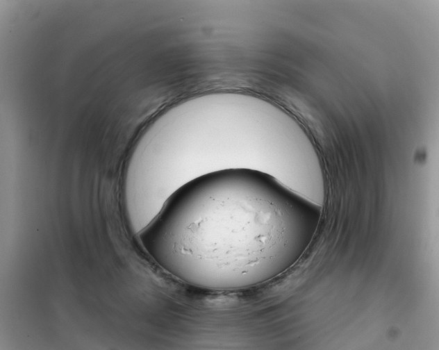 X0000102370362200808011029