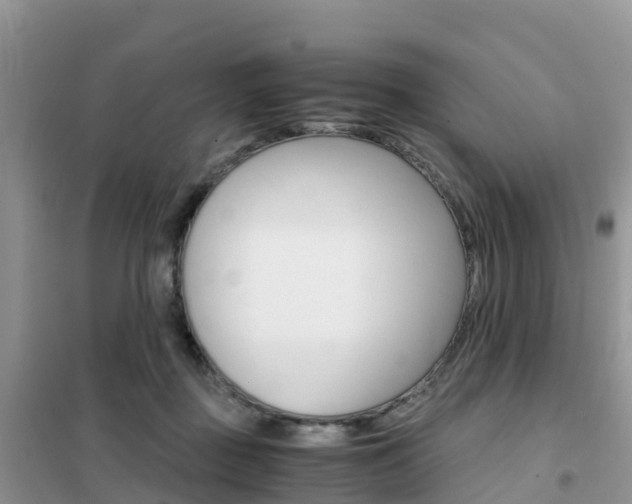 X0000102370363200808011029