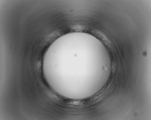 X0000102370365200808011029