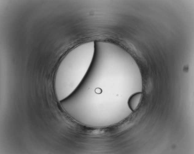 X0000102370366200808011029