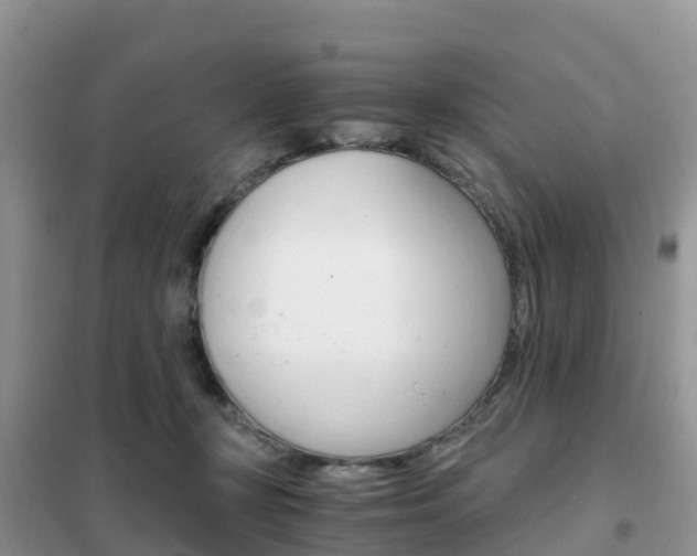 X0000102370367200808011029