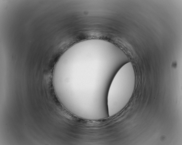 X0000102370369200808011029