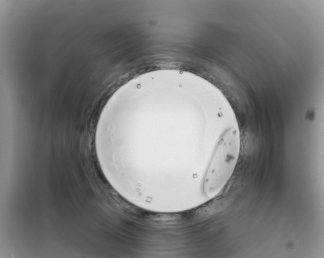 X0000102370370200808011029