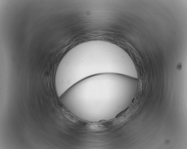 X0000102370372200808011029