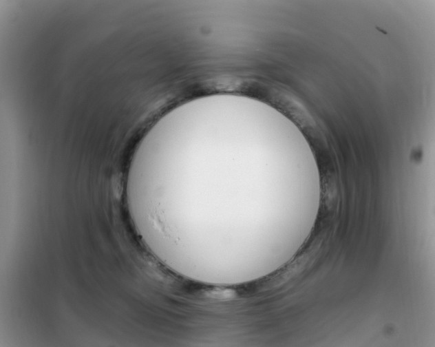 X0000102370374200808011029