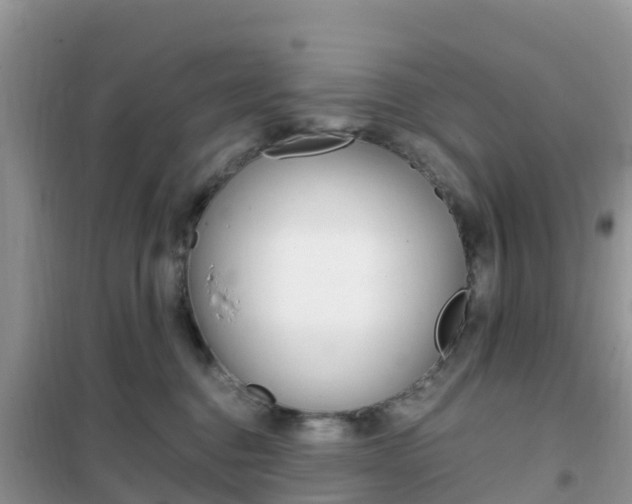 X0000102370376200808011029