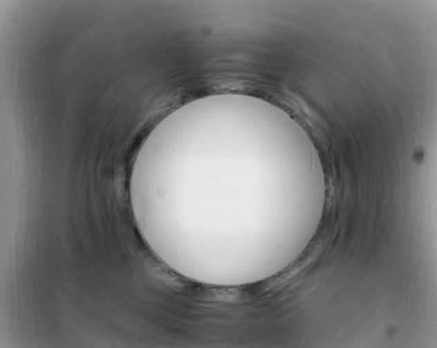 X0000102370377200808011029